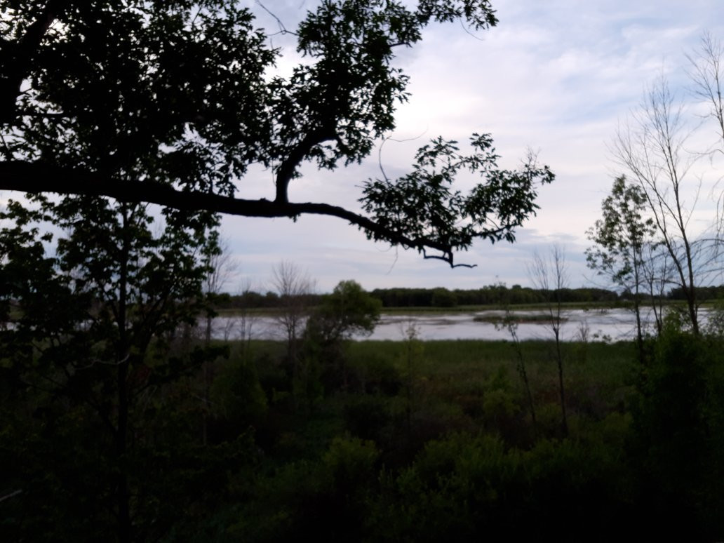 Tobico Marsh景点图片