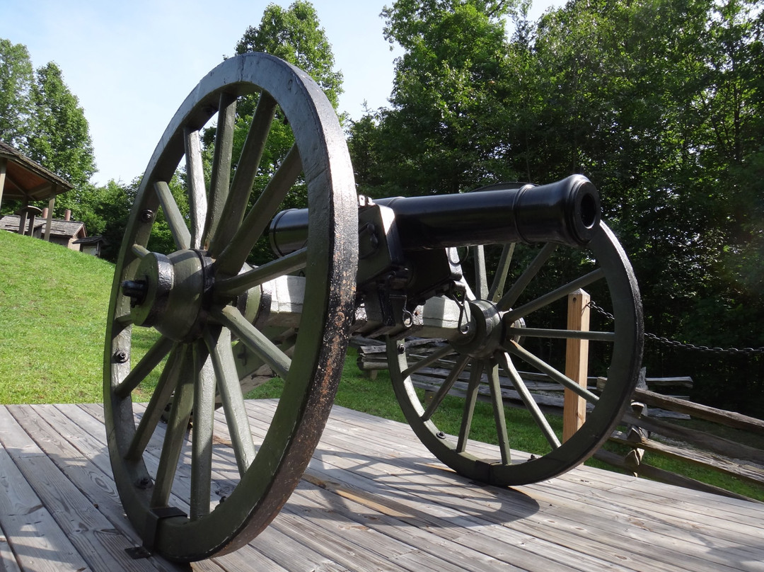 Camp Wildcat Battlefield