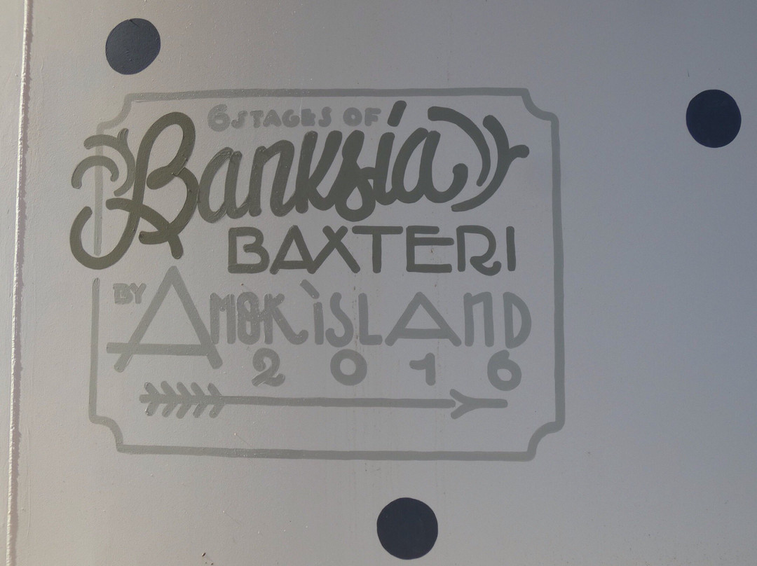 Ravensthorpe Silo Art-Ravensthorpe必去景点