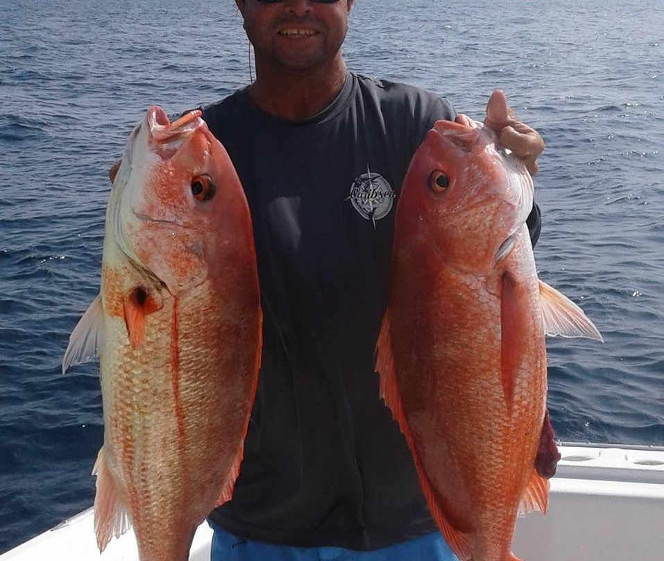Fishing Vacations景点图片