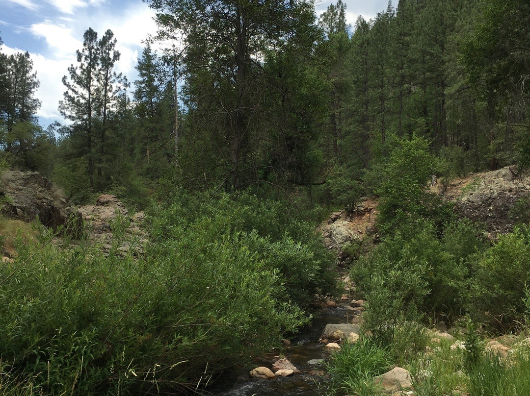 Horton Creek Trail景点图片