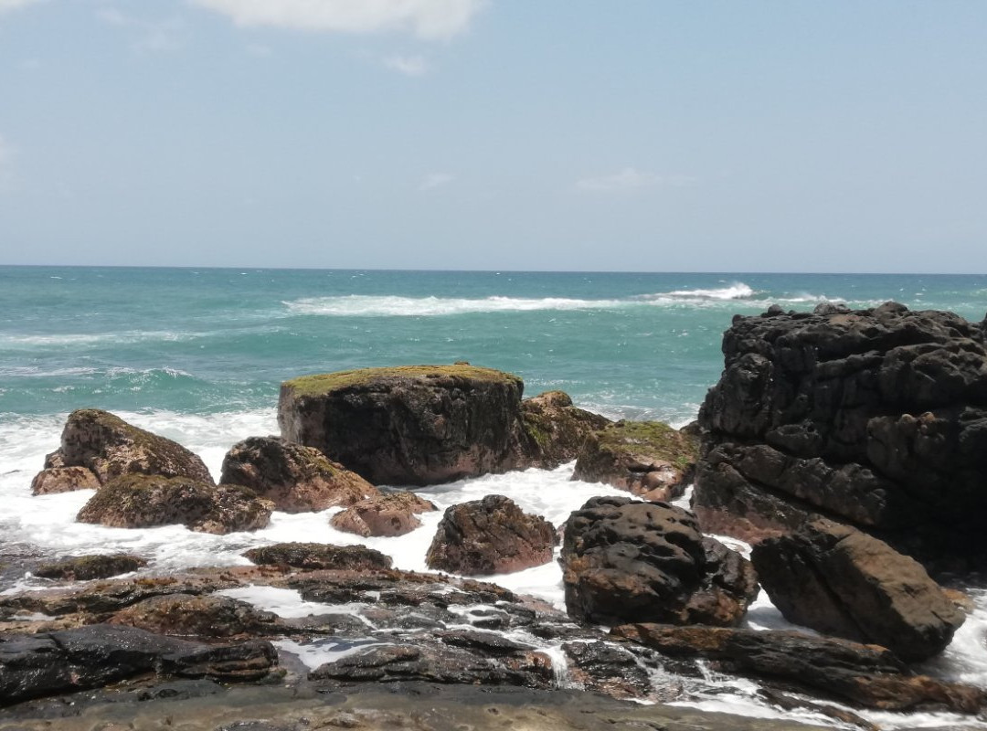 Turtles View Resort主图