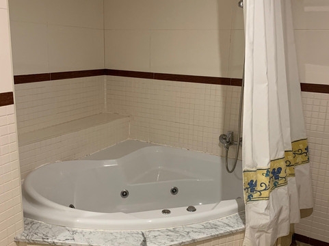 Hotel Torico Plaza主图