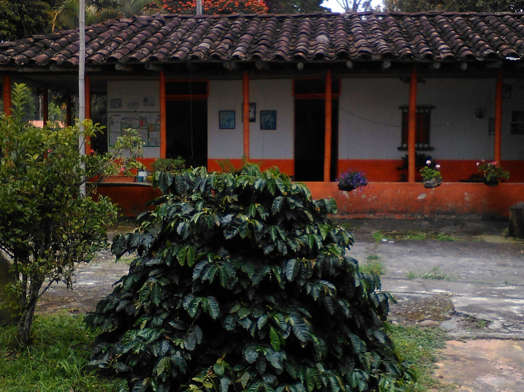 萨伦托旅游景点-El Recuerdo Finca Cafetera Tradicional