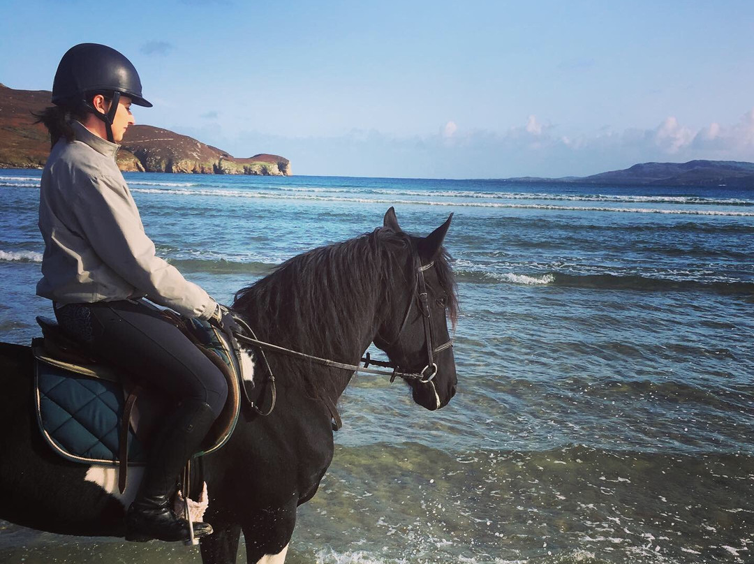 Dunfanaghy Stables-Dunfanaghy必去景点
