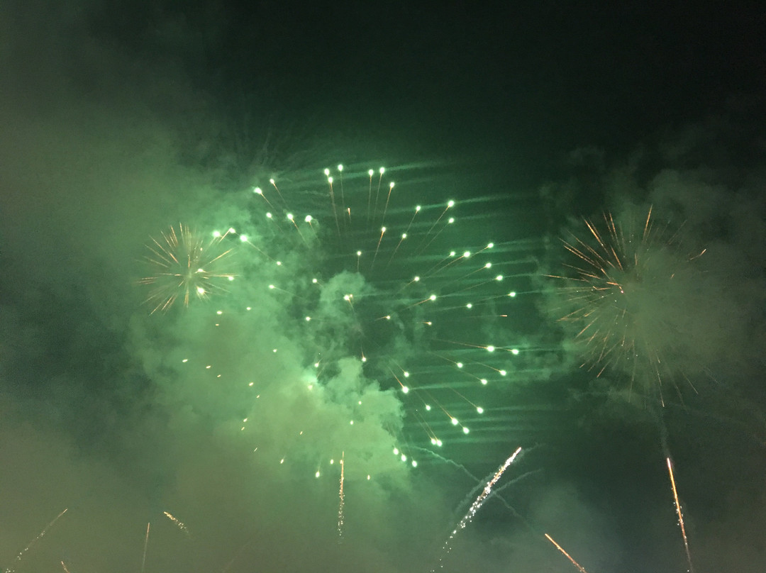 Jinju Namgang Yudeung Festival-晋州市必去景点