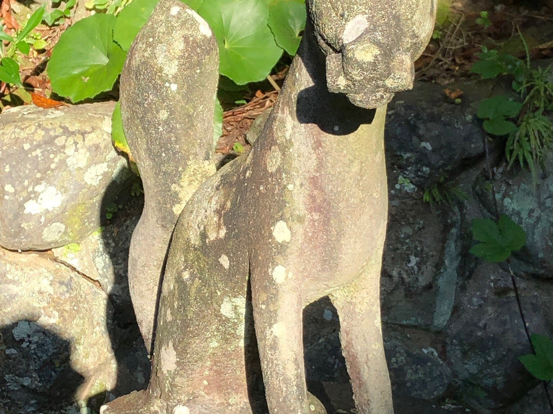 Taga Shrine-宇和岛市必去景点