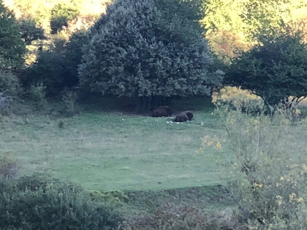 Sol del Mediodia主图