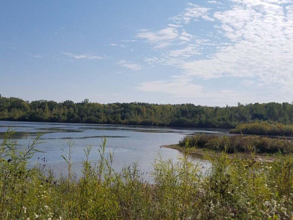 Millennium Park-Walker必去景点