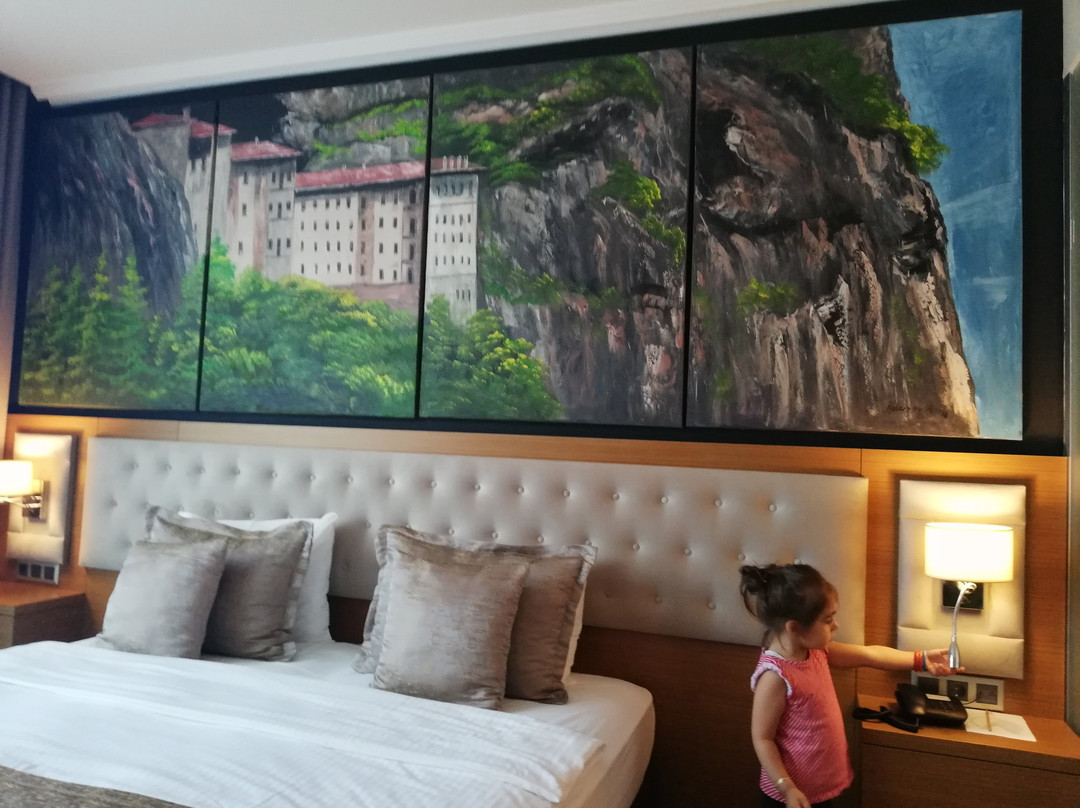 Aselia Hotel主图
