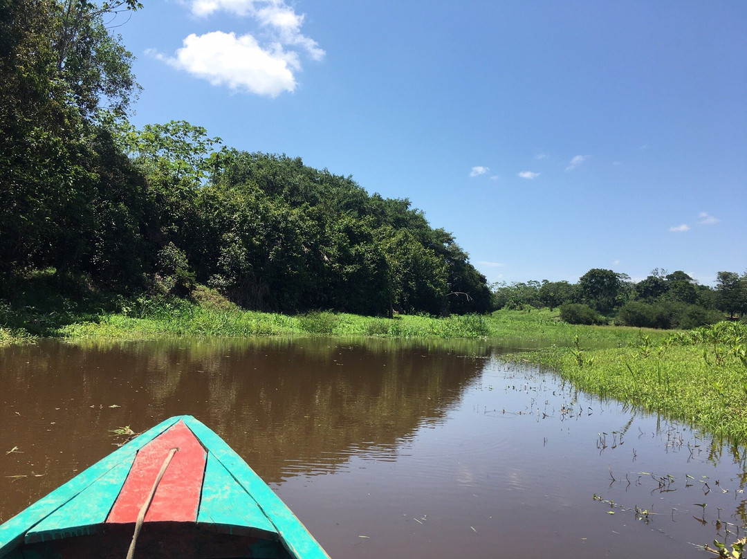 Marlon Ashanga - Jungle Guide-伊基托斯必去景点