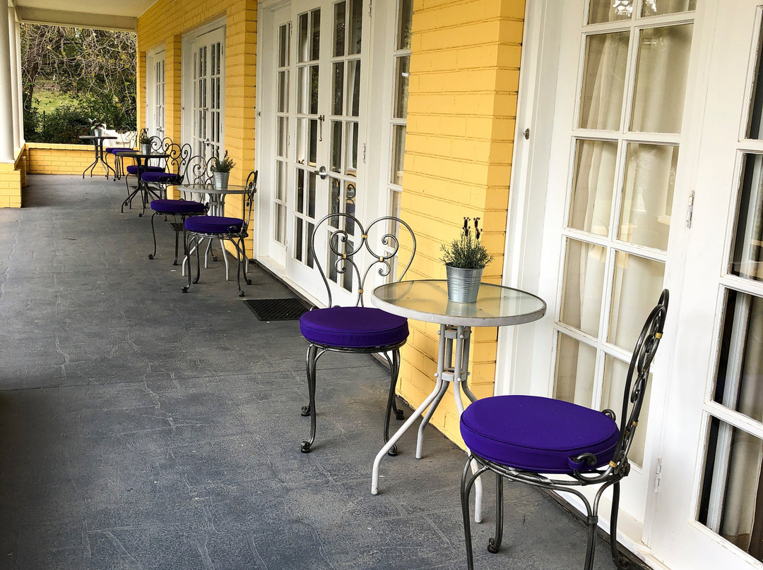 溶胶加勒比海花大酒店主图