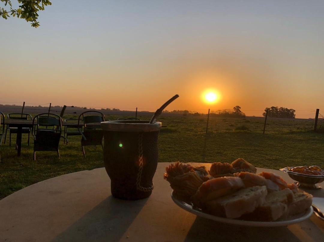 Los Vagones de Areco主图