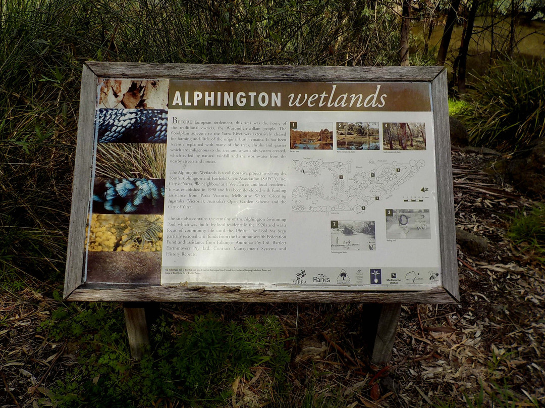 Alphington Wetlands景点图片