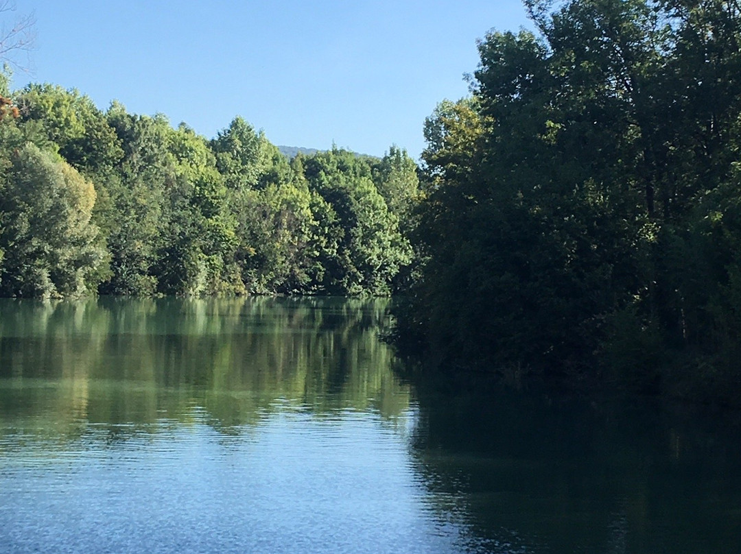 Bateau Champagne Vallee景点图片