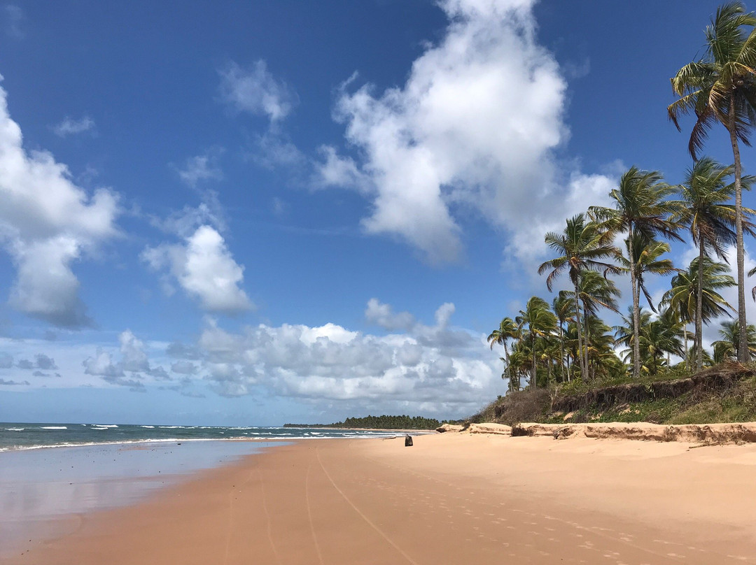 Saquaira Beach-Barra Grande必去景点