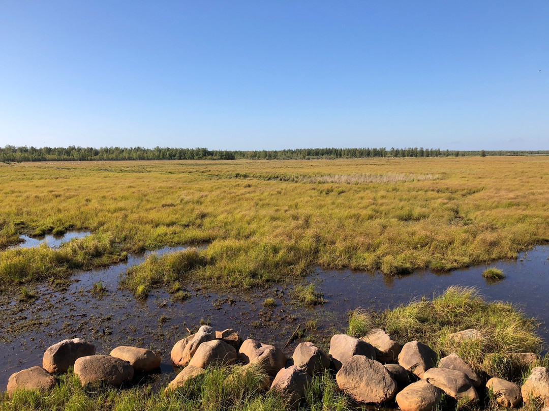 Liminganlahti Visitor Centre主图