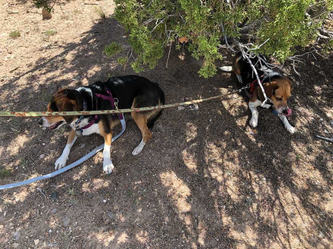 La Tierra Trails-圣菲必去景点