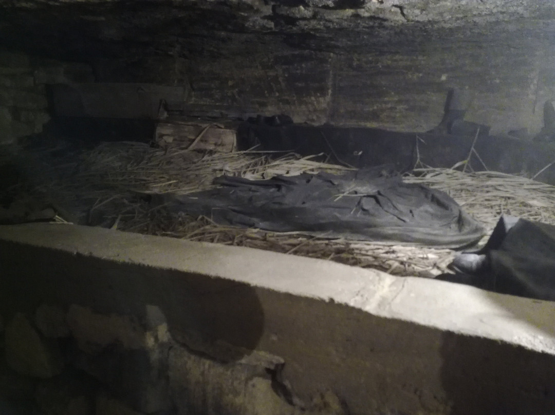 Catacombs of Odessa-Nerubayskoye必去景点