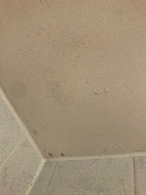 伦敦萨顿假日酒店主图