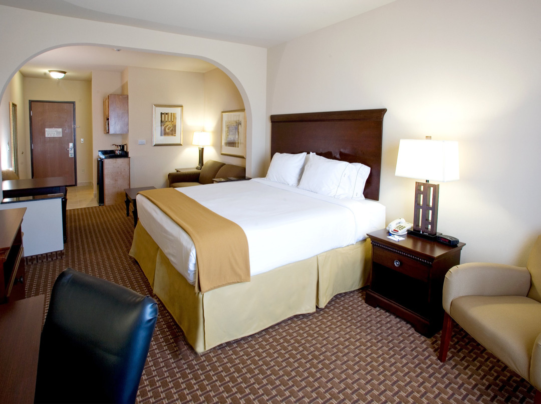 Holiday Inn Express & Suites Kingsville By IHG主图