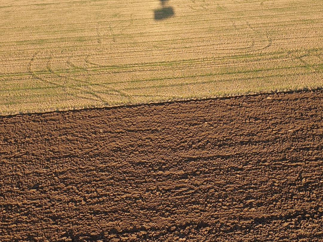 Virgin Balloon Flights - Cambridge景点图片