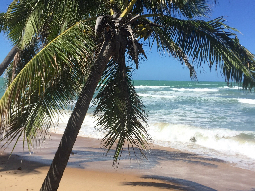 Pousada Riacho Doce主图