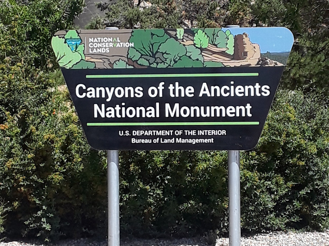 Canyons Of The Ancients Visitor Center & Museum景点图片