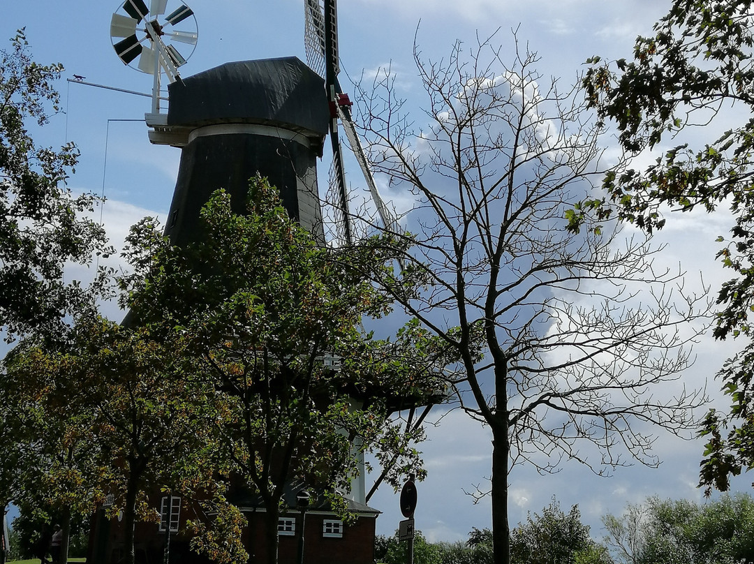 Greetsieler Zwillingsmuhlen-Greetsiel必去景点
