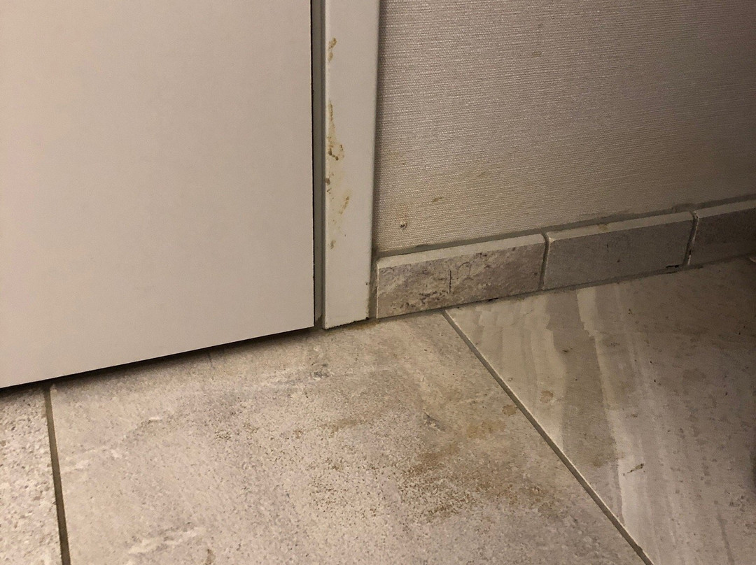 Fairfield by Marriott Inn & Suites Roanoke Salem主图