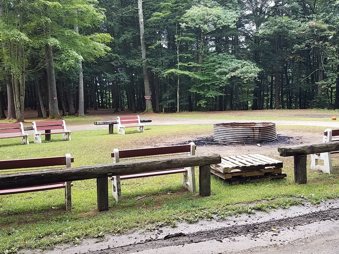 Crown Point Camping Area