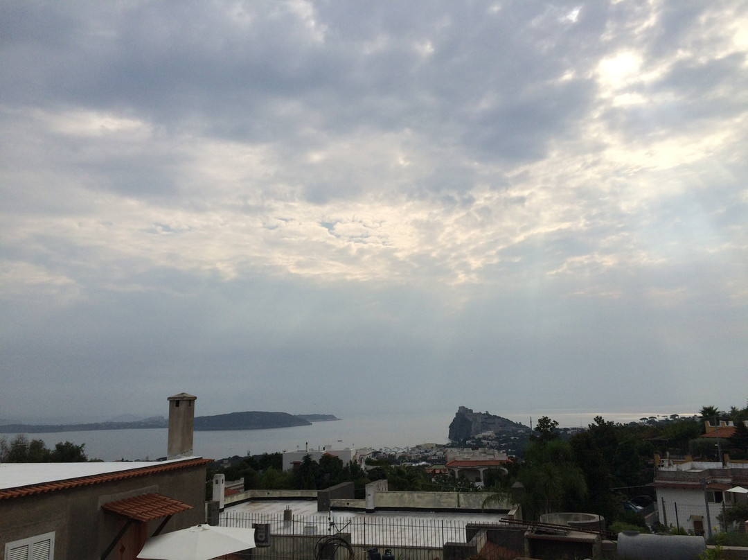 Cretaio酒店住宿-U' Campagnuolo