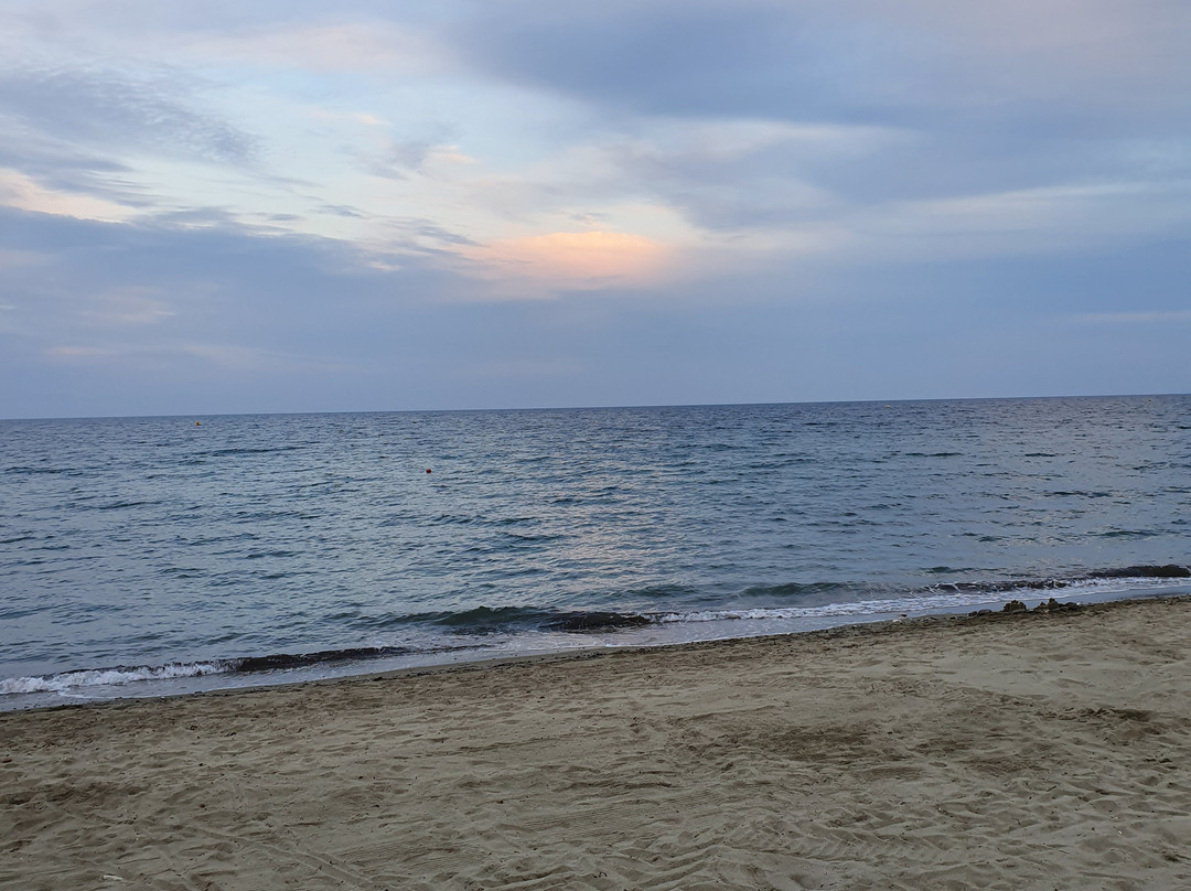Hotel Levolle Marine主图