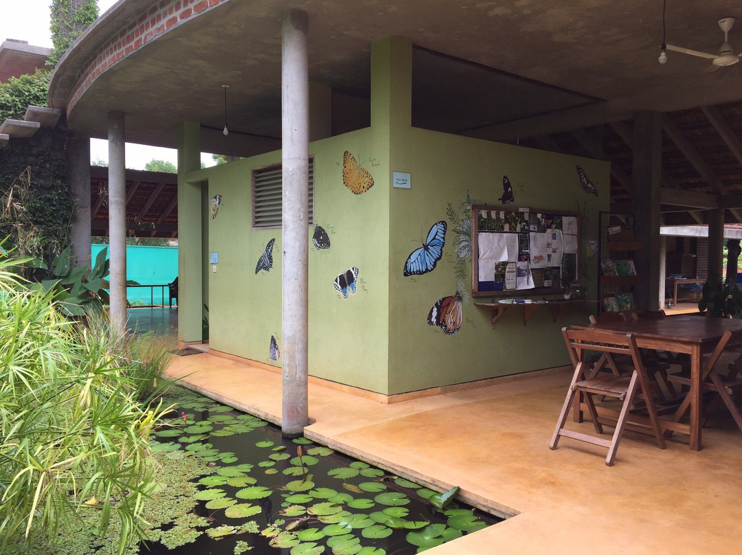 Auroville Botanical Gardens景点图片