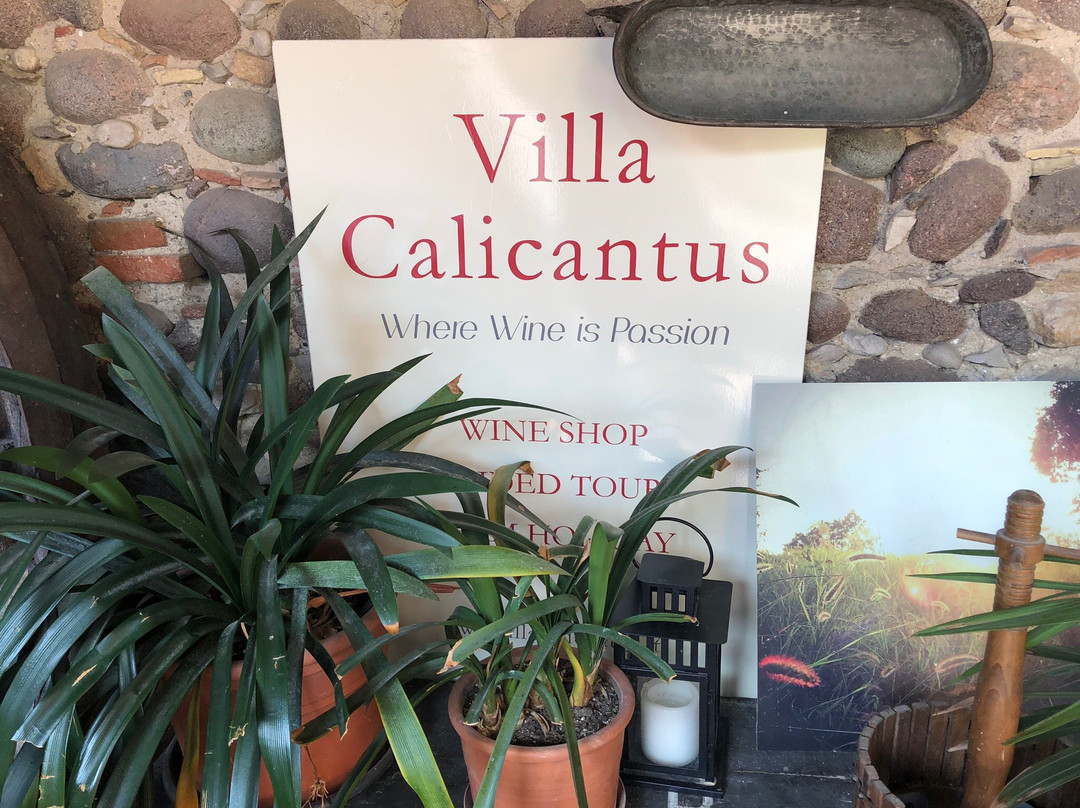 Villa Calicantus景点图片