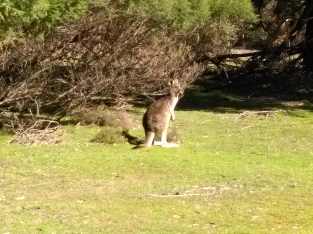 格兰坪汽车旅馆主图
