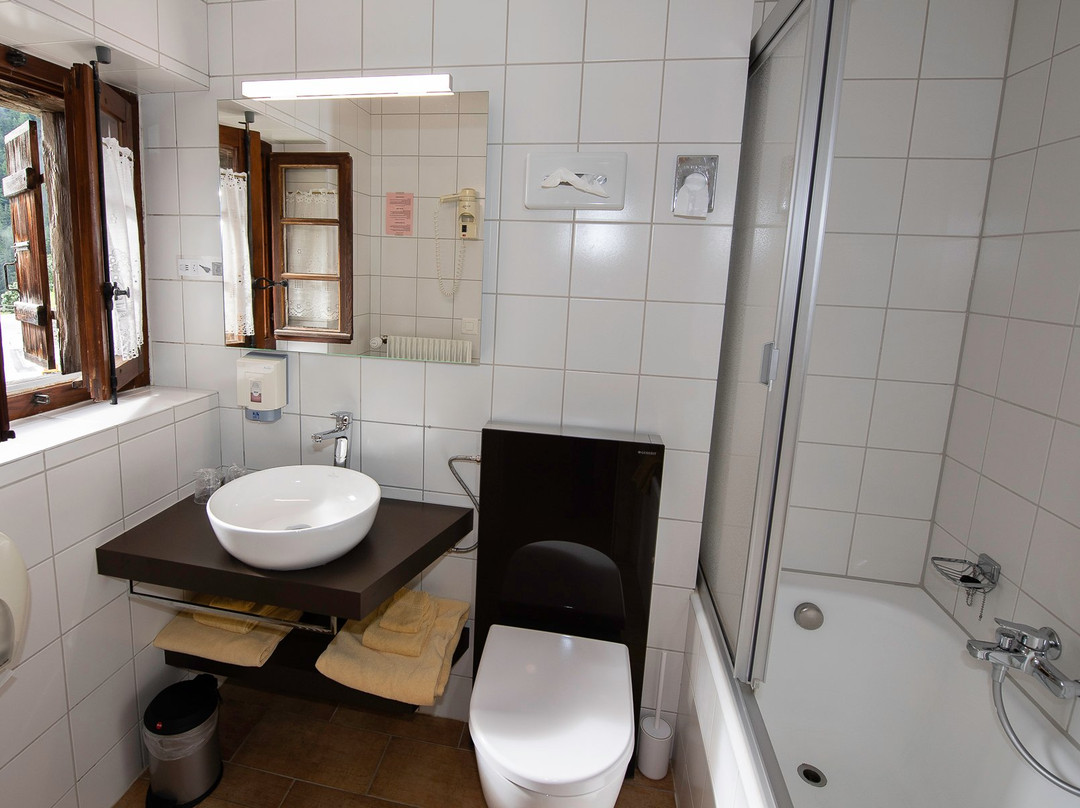 Hotel De Moiry主图