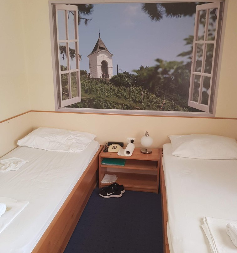 Hotel Tabor Maribor主图