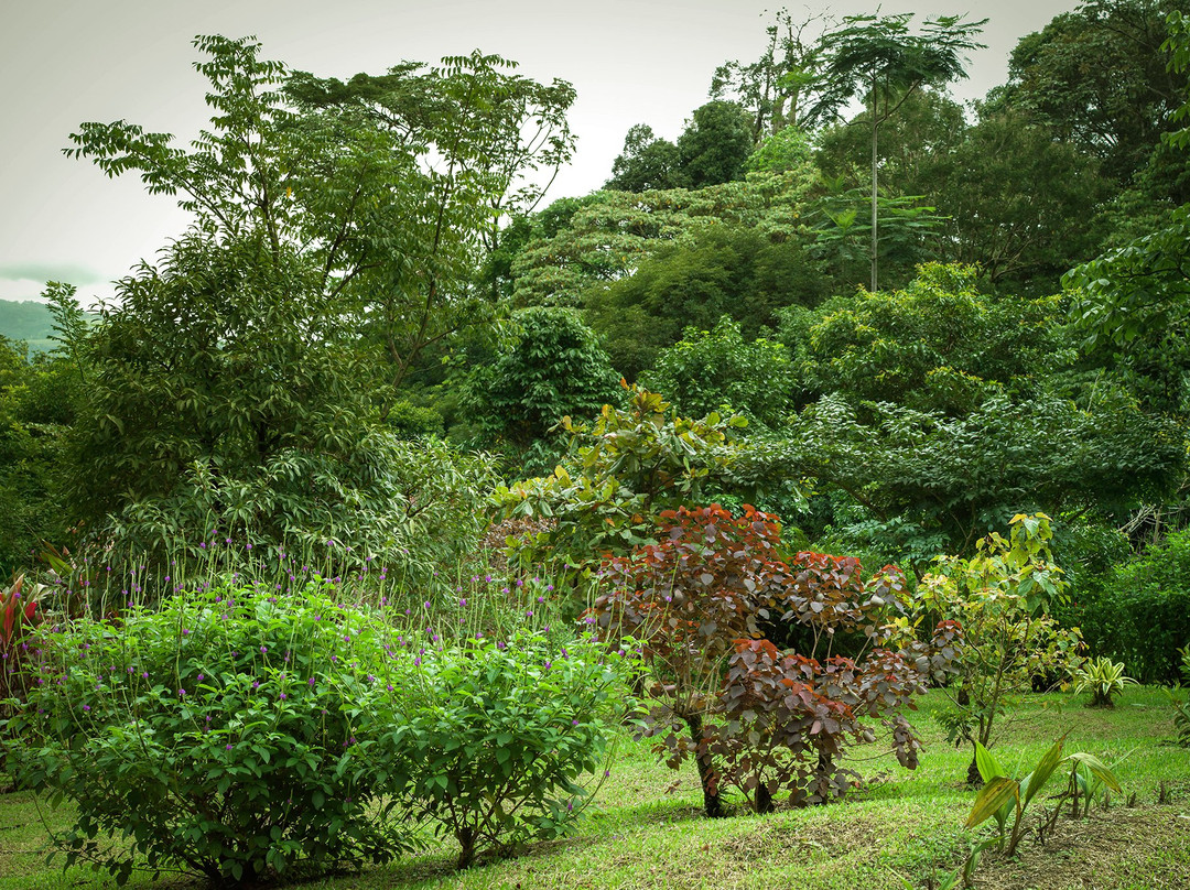 Aves De Tierras Altas景点图片