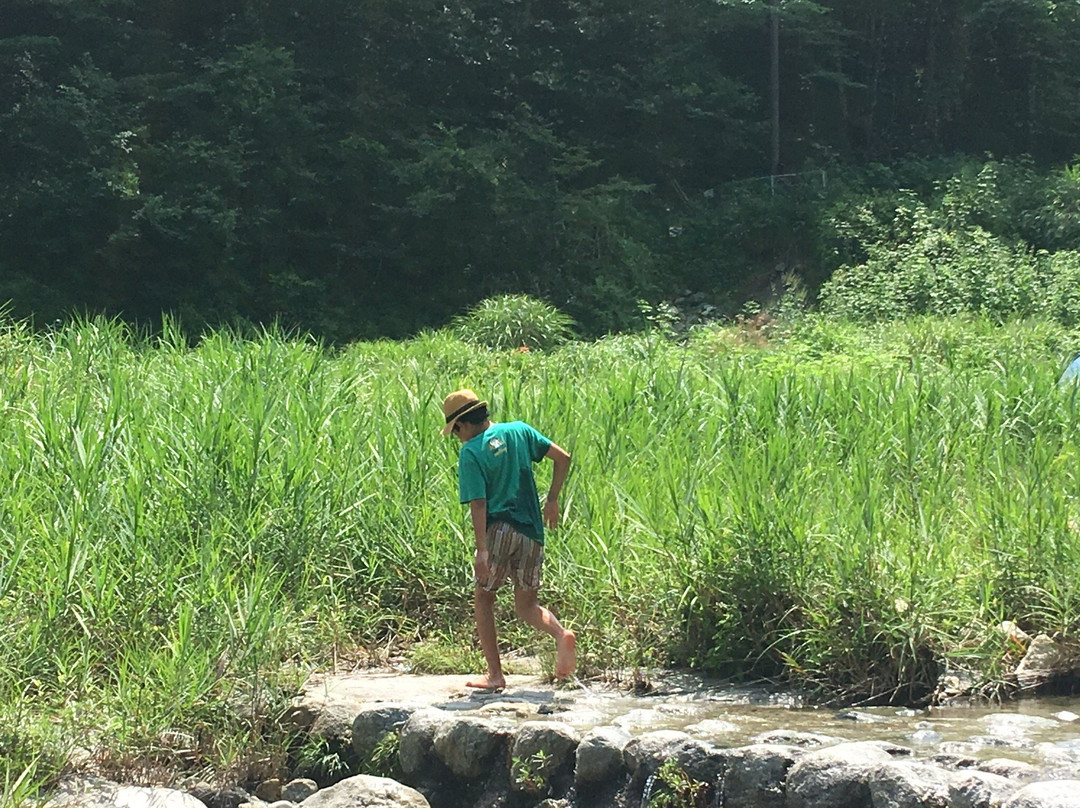 Verdant Garden Verga景点图片