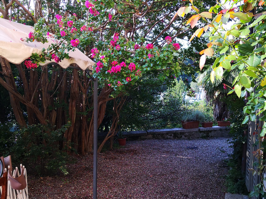 B&B Villa Adelaide主图