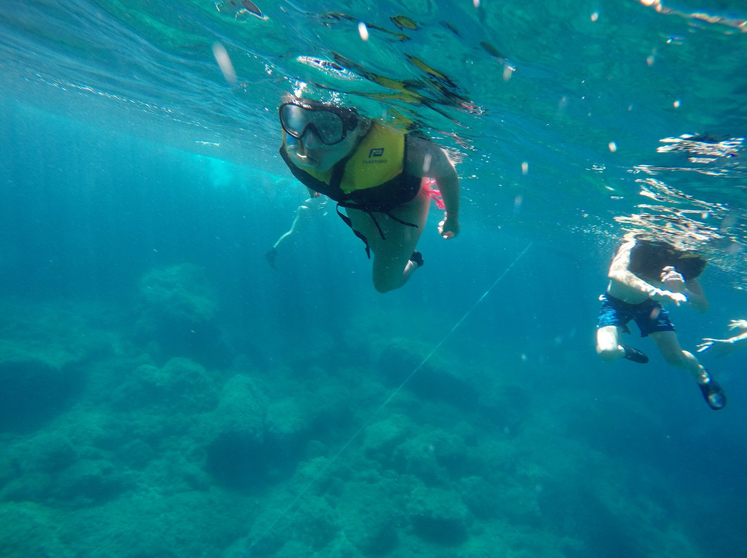 The Challenge Mallorca-阿库迪亚必去景点