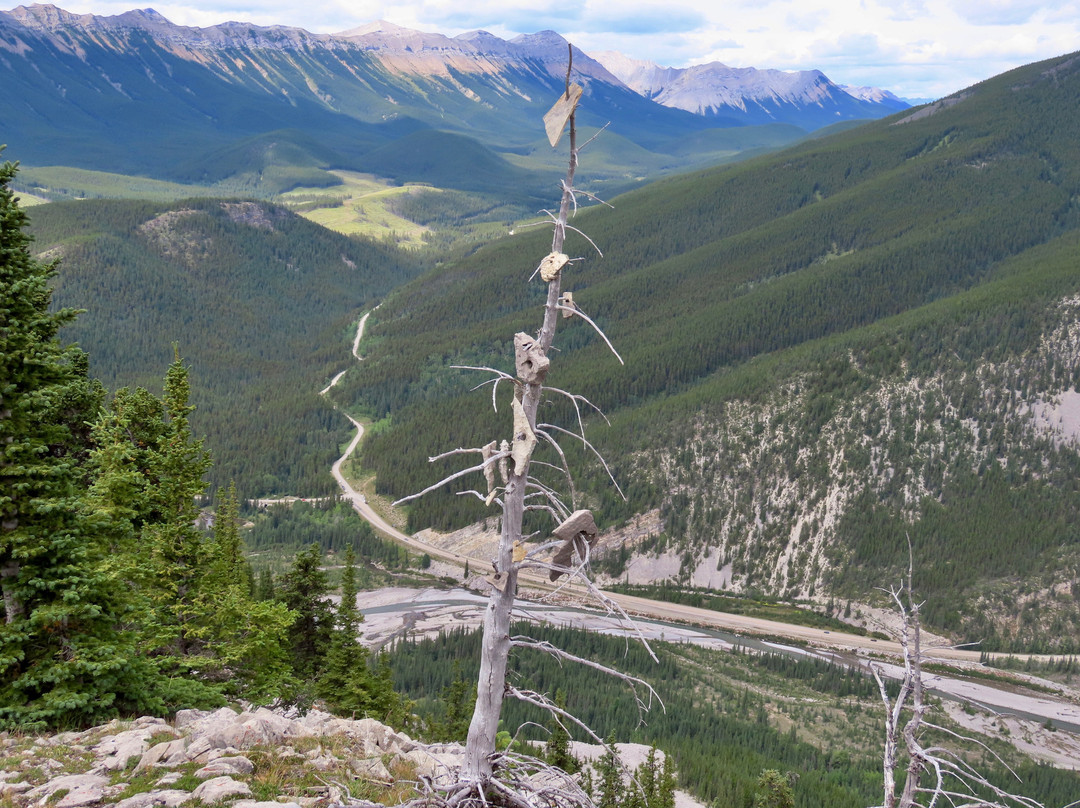 Don Getty Wildland Provincial Park景点图片