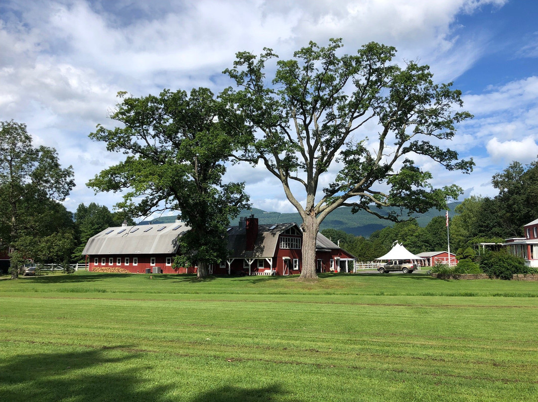 The Kaaterskill主图