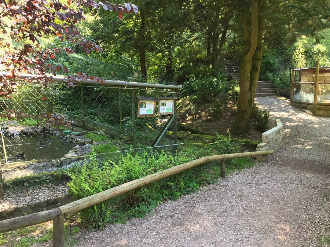 Suhler Tierpark-苏尔必去景点