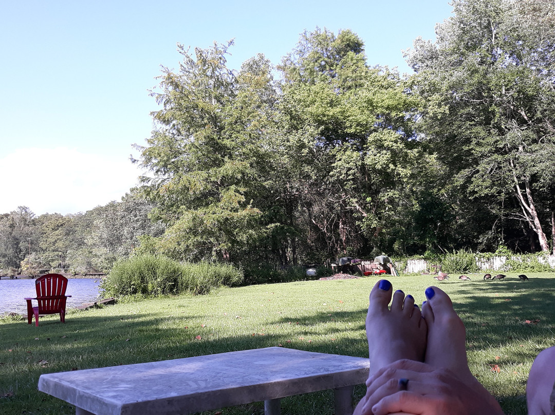 Cypress River Inn & Spa主图