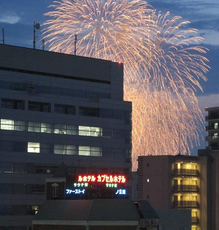 Tachikawa Matsuri Showa Kinen Park Fireworks Festival景点图片