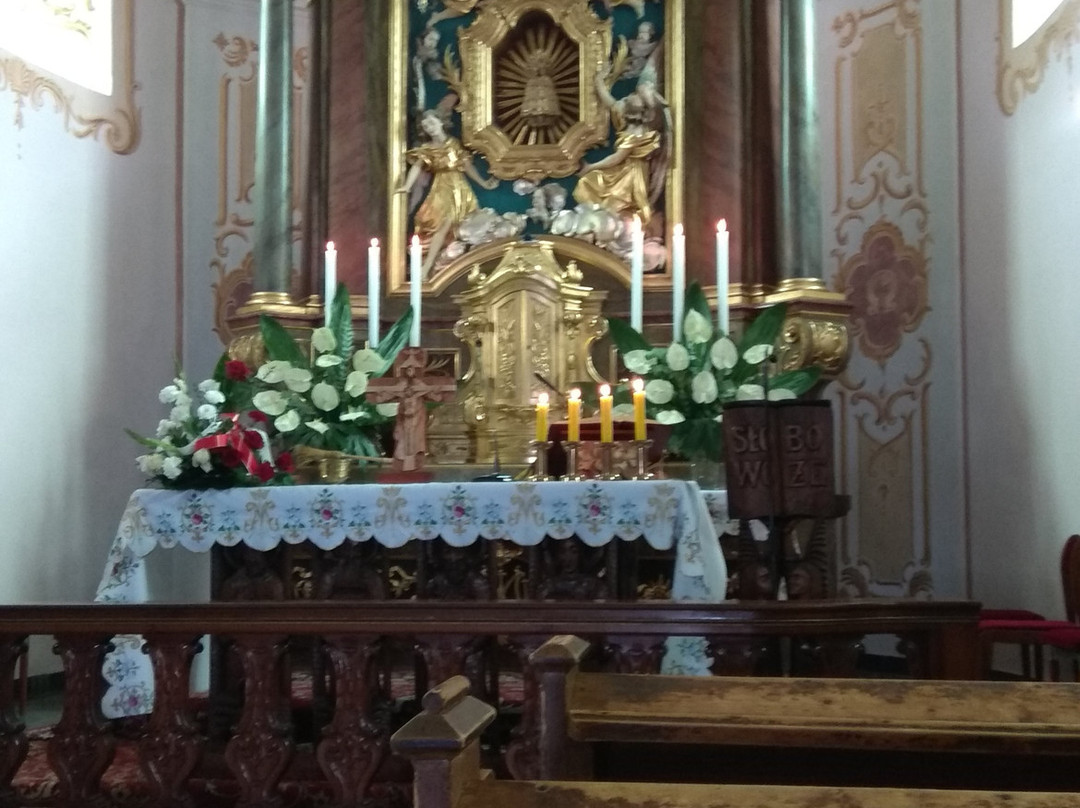 Shrine "Our Lady of the Snows"景点图片