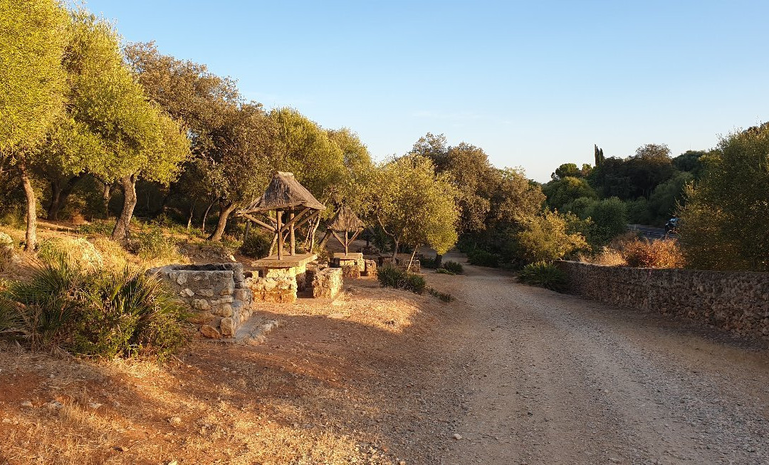 Parque Periurbano Los Cabezos景点图片