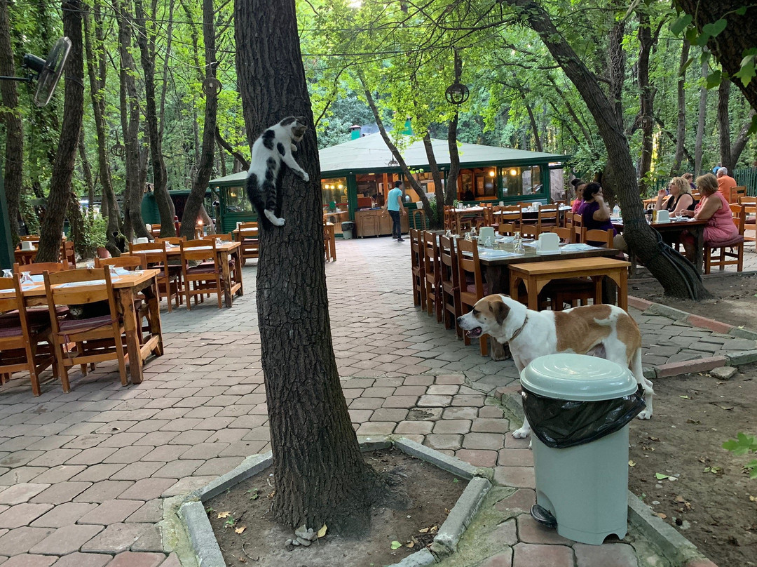 Gunluklu Restaurant